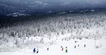 Variation. Fjeldene byder både på lange og brede pister til nybegyndere og sorte pister for de øvede. Vovehalse kan få  udfordringer i Fun Parks. 
