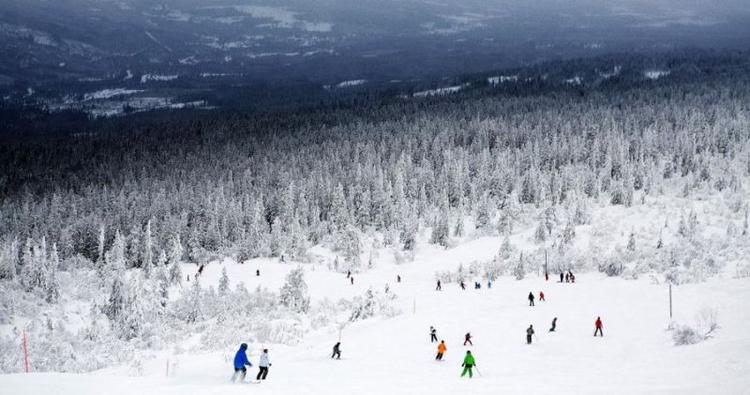 Variation. Fjeldene byder både på lange og brede pister til nybegyndere og sorte pister for de øvede. Vovehalse kan få  udfordringer i Fun Parks. 