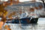 Søret. Greenpeace-skibet Arctic Sunrise og dets 30 besætningsmedlemmer er omdrejningspunkt for en diplomatisk krise mellem Holland og Rusland. I dag traf Havretsdomstolen beslutning i voldgiftsagen mellem de to lande. 