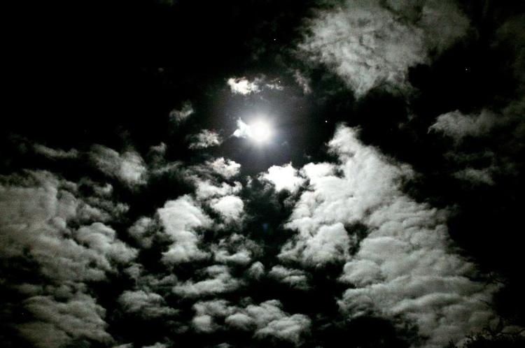 Skønånd. Ifølge Ronald Dworkin kan man godt være religiøs uden at tro på Gud. Blandt andet når man bliver slået af  skønheden i naturen. 