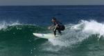 Badefare. De australske bølger er farligere end hajere, viser opgørelse. Her er surferen Brad Webber i aktion ved Bondi Beach, en af Sydneys bedste strande. 
