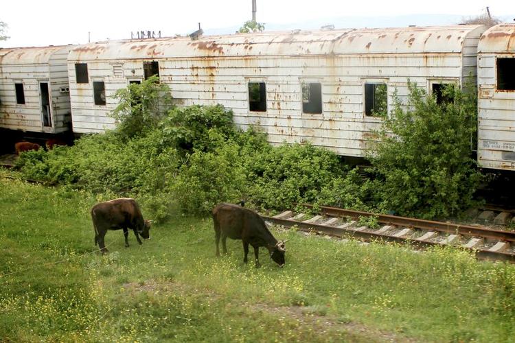 Arv. Ud af vinduet kan man opleve efterladenskaber fra den sovjetiske sværindustri med et rod af rustne rør og overgroede godsvogne. 