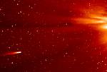 KOMETBESØG. Ison ses nærme sig solen på dette billede fra Nasa's Stereo-A-rumsonde. 