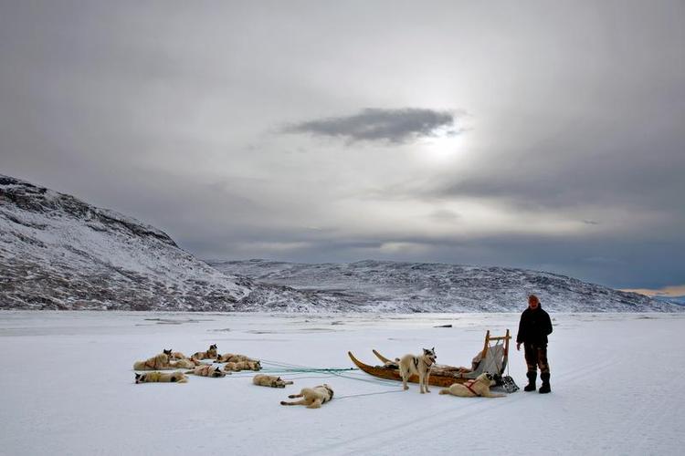 Snelandskab. Solen prøver at bryde igennem skyerne, mens hundene hviler sig for en stund. Foto: Annelise Fibæk 