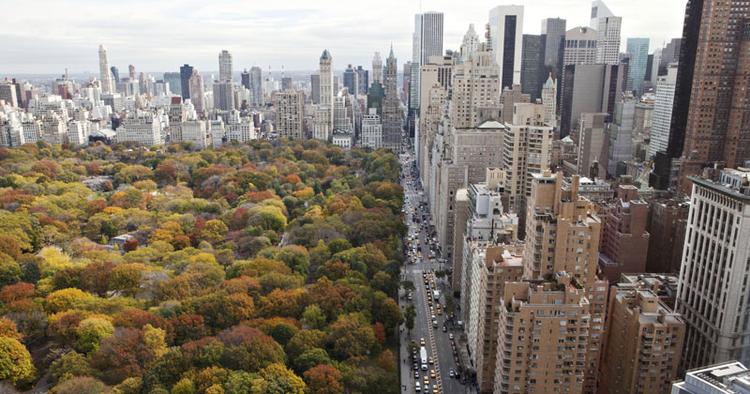 Ikonisk. New York har mange symboler og attraktioner. Central Park på den øvre del af Manhattan er en af dem. 