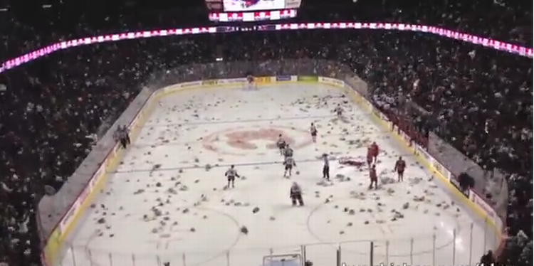 bamseregn. Luften bliver hurtigt tyk af bamser, når Calgary Hitmen scorer det første mål i december hvert år. 
