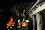 Stormskader: Falck og brandvæsen har travt i forbindelse med stormen. Her er det Lyngby Taarbæks Brandvæsen, der skærer et træ ned i nat. 