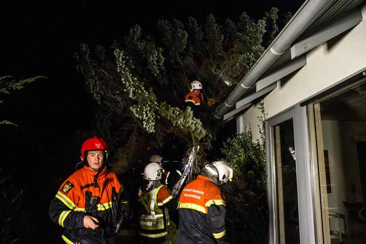 Stormskader: Falck og brandvæsen har travt i forbindelse med stormen. Her er det Lyngby Taarbæks Brandvæsen, der skærer et træ ned i nat. 