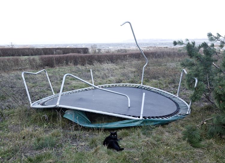 Stormskader. På trods af den kraftige storm, der i går hærgede Danmark, er andelen af skadesanmeldelser lavere end ved sidste storm. 