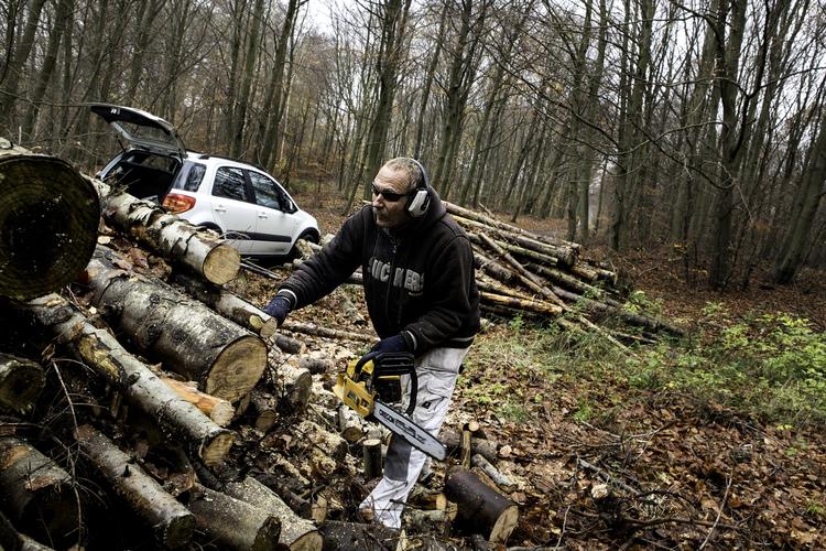 Afgift. Den såkaldte brændeafgift på træ er udskudt. Det erkender skatteminister Holger K. Nielsen (SF), som efter massiv kritik har opgivet at indføre afgiften fra 1. januar. - Foto: 
