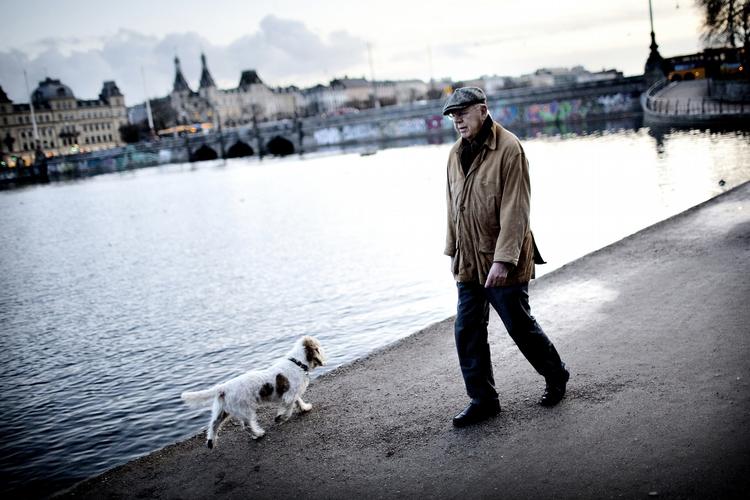 dannelse. Hvad hjælper det dog, at man er et godt og demokratisk menneske, hvis man ikke kan læse og skrive ordentligt, skriver Jan Andreasen. Her ses forfatteren Klaus Rifbjerg på gåtur i København. 