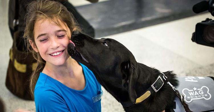 Ro. En hundehær skal fremover hjælpe passagerer i San Francisco med at være helt klar til flyveturen. 