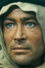 o'toole toole