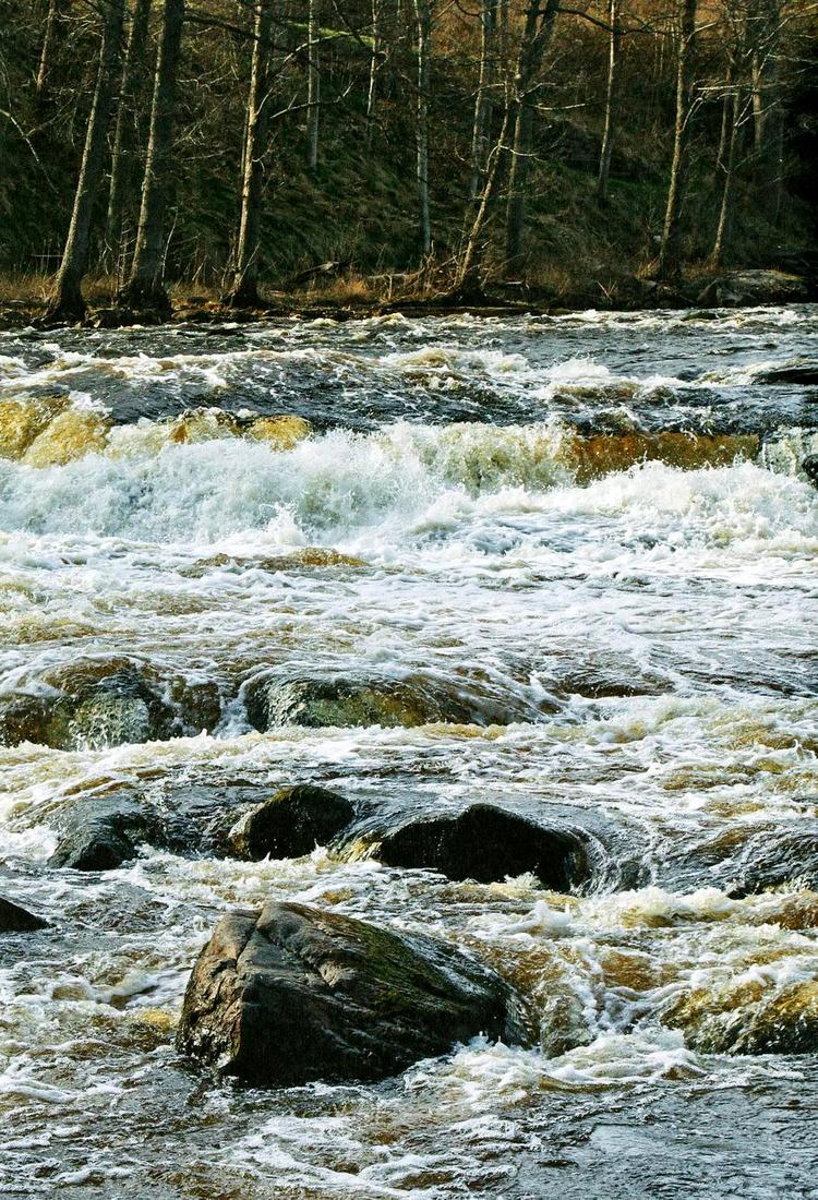 Vand. Bogen er rig på billeder af naturen både over og under vandet. 
