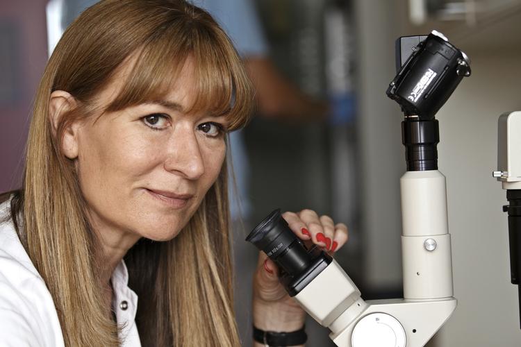 Kritik. Forsker og professor ved Københavns Universitet Bente Klarlund får kritik for en række videnskabelige artikler. 