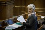 Formandsproblemer. Annette Vilhelmsen, formand for SF, er under forsat kritik i Zornig-sag. 