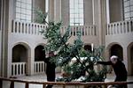 Juletid. Tro er afløst af tradition, og den skal med vold og magt opretholdes, skriver Christoffer Emil Bruun. 