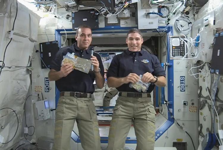 Julerumvandring. 53-årige Rick Mastracchio og 44-årige Mike Hopkins skal senere i dag på historiens blot anden julerumvandring, når de skal reparere et defekt køleanlæg på Den Internationale Rumstation (ISS). 