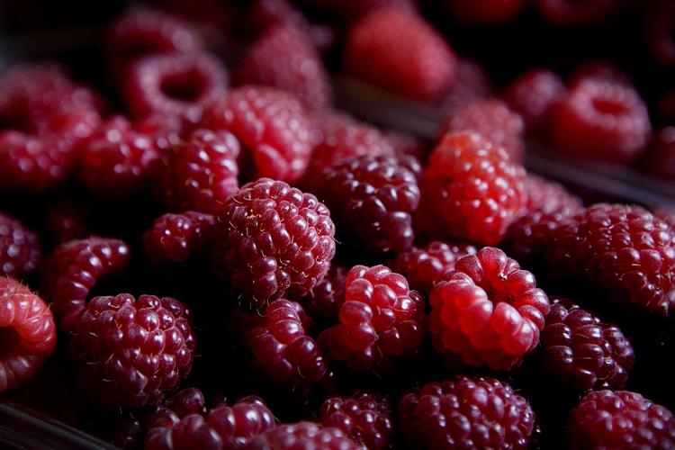 Smittefare. Bær fra Polen indeholder smitsom virus, advarer Fødevarestyrelsen. 