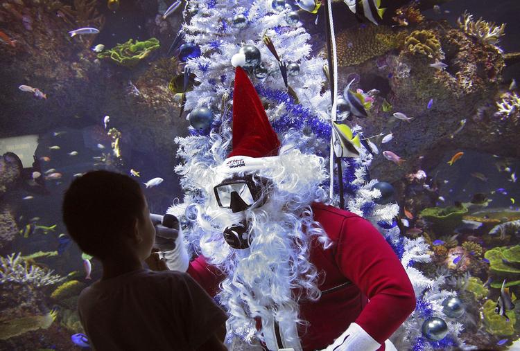 Julemanden startede i Coral Garden i Singapore - under vandet.... 