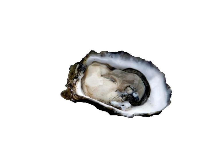 Østerskender. Lær et par tips fra en østerekspert, så du kan føre dig frem til nytår. 