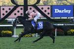 ubesejret. Den berømte Black Caviar vinder et af sine 25 løb. Et føl i Black Caviars blodlinje er blevet aflivet på grund af et edderkoppebid. 
