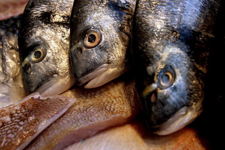 Fisk. Fiskehandlerne rundt om i landet har svært ved at levere villfanget fladfisk og skaldyr. Til gengæld er der masser af laks og torsk til nytårsbordene. 