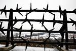 fanget. 200.000 mennesker sad i forbindelse med Anden Verdenskrig i koncentrationslejren Mauthausen øst for byen Linz i Østrig. 100.000 af dem døde i årene 1938-1945. Marsha Kreuzman reddede livet men mistede både sin mor, far og bror i Holocaust. 
