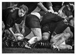 Rygby