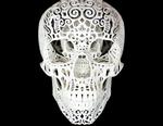 3D. Fremtidsforkser Karim Pedersen  forudser, at scannere der kan printe i 3D, bliver det nye i 2014. Her ses et kranie af kunstneren Joshua Harker, der benytter 3D-scannere i hans kunst. 