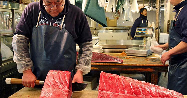 Fangst. Fiskene på Tsukiji-markedets auktioner sælges ofte til rekordpriser. 