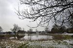 Genopretning. De gamle gadekær - som her ved Vor Frue By ved Roskilde - vender tilbage. 