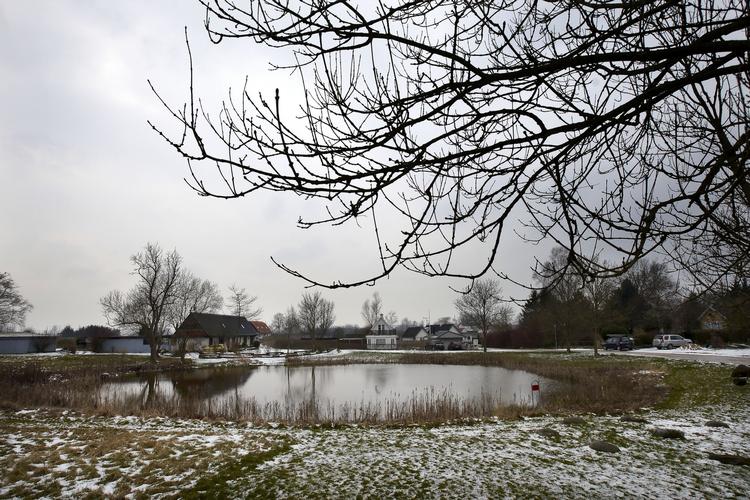 Genopretning. De gamle gadekær - som her ved Vor Frue By ved Roskilde - vender tilbage. 