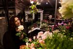 Luksus. Friske blomster i hjemmet giver duft, farver og liv, så hjemmet adskiller sig fra et hotelværelse. Derfor bruger Tamra Rosanes over 10.000 kroner årligt på buketter. Hun støtter gerne de lokale butikker i Gentofte, hvor hun her handler i Drivhuset. 