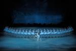 Svanesøen. Det københavnske mulighed for at komme helt tæt på Marinskij Ballettens fantastiske dansere. 