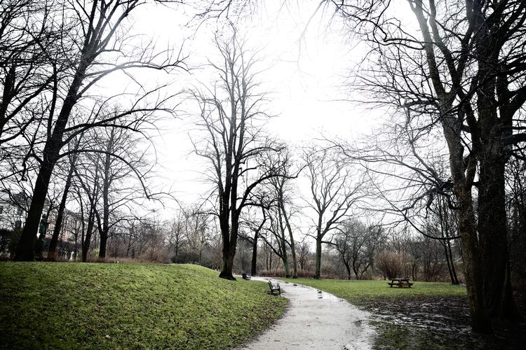 MILDT. Vinterkulden tager alligevel ikke sit indtog i den kommende uge, og den grønne vinter fortsætter. 
