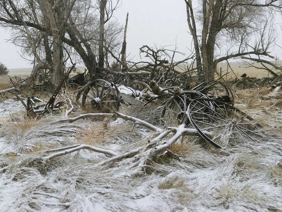 © Andrew Moore, courtesy of the artist and Yancey Richardson