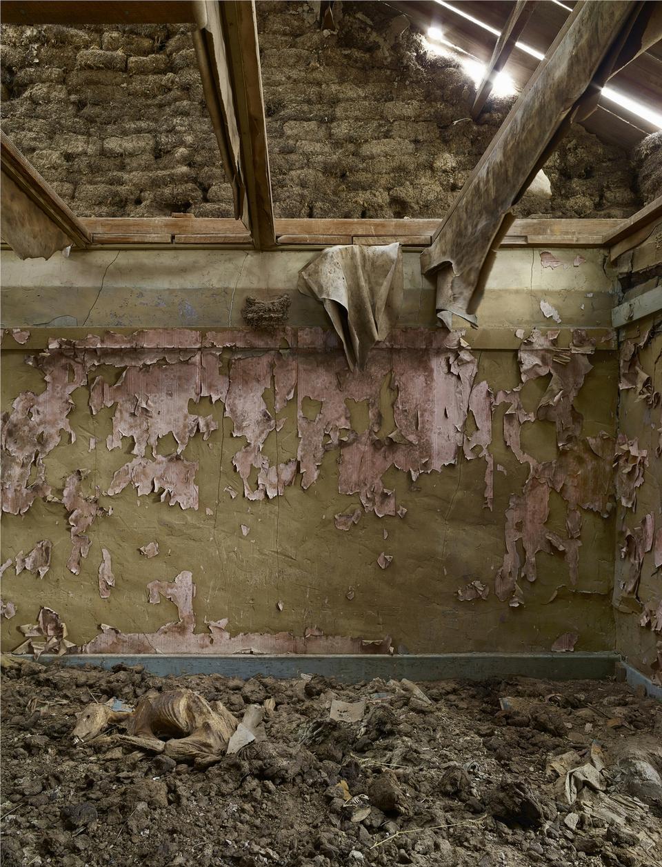 © Andrew Moore, courtesy of the artist and Yancey Richardson