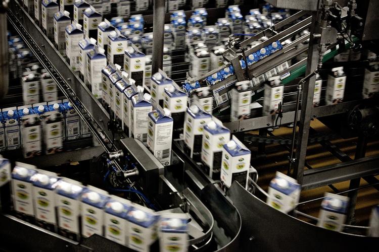 Økologi. Ifølge kommunikationsdirektør Kasper Ibsen Beck fra Arla kniber det ikke bare med at sælge økologisk mælk på hjemmemarkedet, men også økologisk smør og yoghurt. 
