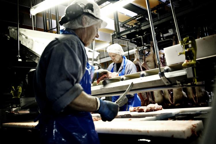 Besparelser. Medarbejdere på slagteriet i Horsens er i gang med dagens dont. Deres kolleger i Faaborg står til at blive fyret, og flere hundrede andre ansatte vil blive berørt af spareplanen. 
