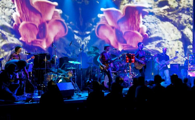 Totaloplevelse. Det otte mand store band Elevatorføreri aktion. I morgen spiller de i Aarhus. 