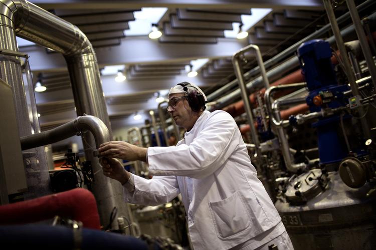 storsællert. Novozymes lever højt på at producere enzymer til blandt andet vaskemiddelindustrien. 