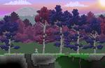 starbound-2_web