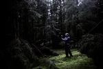 Ihærdig. Lars Ostenfeld og to kolleger har i knap to uger håbet på at få besøg af en ulv i en skov ved Herning. 