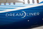 Bøvl. Boeings Dreamliner har haft mange tekniske problemer. Det har flyselskabet Norwegian, der benytter det til langdistanceflyvninger, kunnet mærke. 