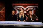 Dannelse. Hit-programmet X Factor bliver ofte nævnt i public service debatten. 