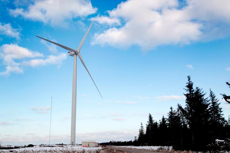 gigant. Det er noget af en kæmpe. Møllens vinger vil, når de når højest, række 220 meter op i luften. 