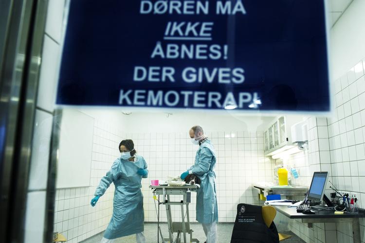 Kræft. Kemoterapi er en gift, der skal slå kræftceller ihjel. Selv en lille overdosis kan være fatal for patienterne. Billedet har intet med den konkrete sag at gøre. (arkivfoto) 