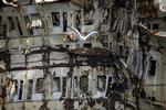 Forlist. Under redningsarbejde på det forliste krydstogtskib 'Costa Concordia' ved den italienske ø Giglio er en spansk dykker blevet dræbt, oplyser en talsmand for bjerningsselskabet. 