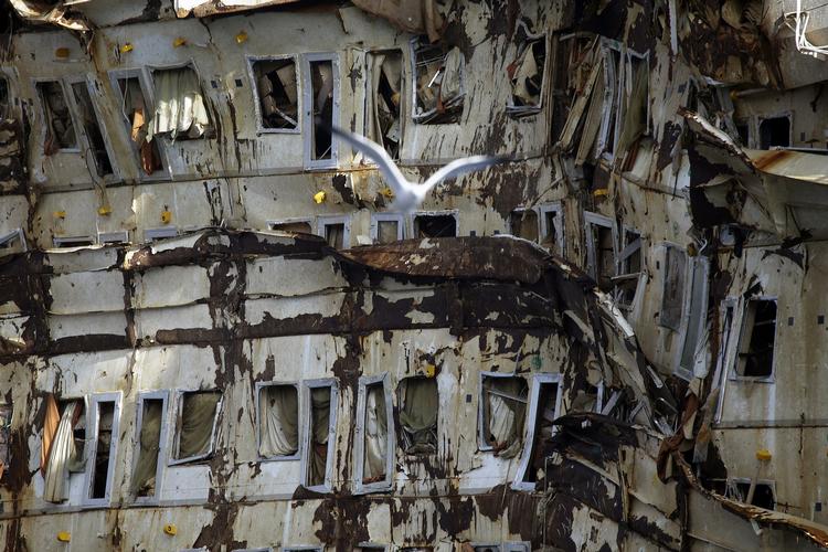 Forlist. Under redningsarbejde på det forliste krydstogtskib 'Costa Concordia' ved den italienske ø Giglio er en spansk dykker blevet dræbt, oplyser en talsmand for bjerningsselskabet. 
